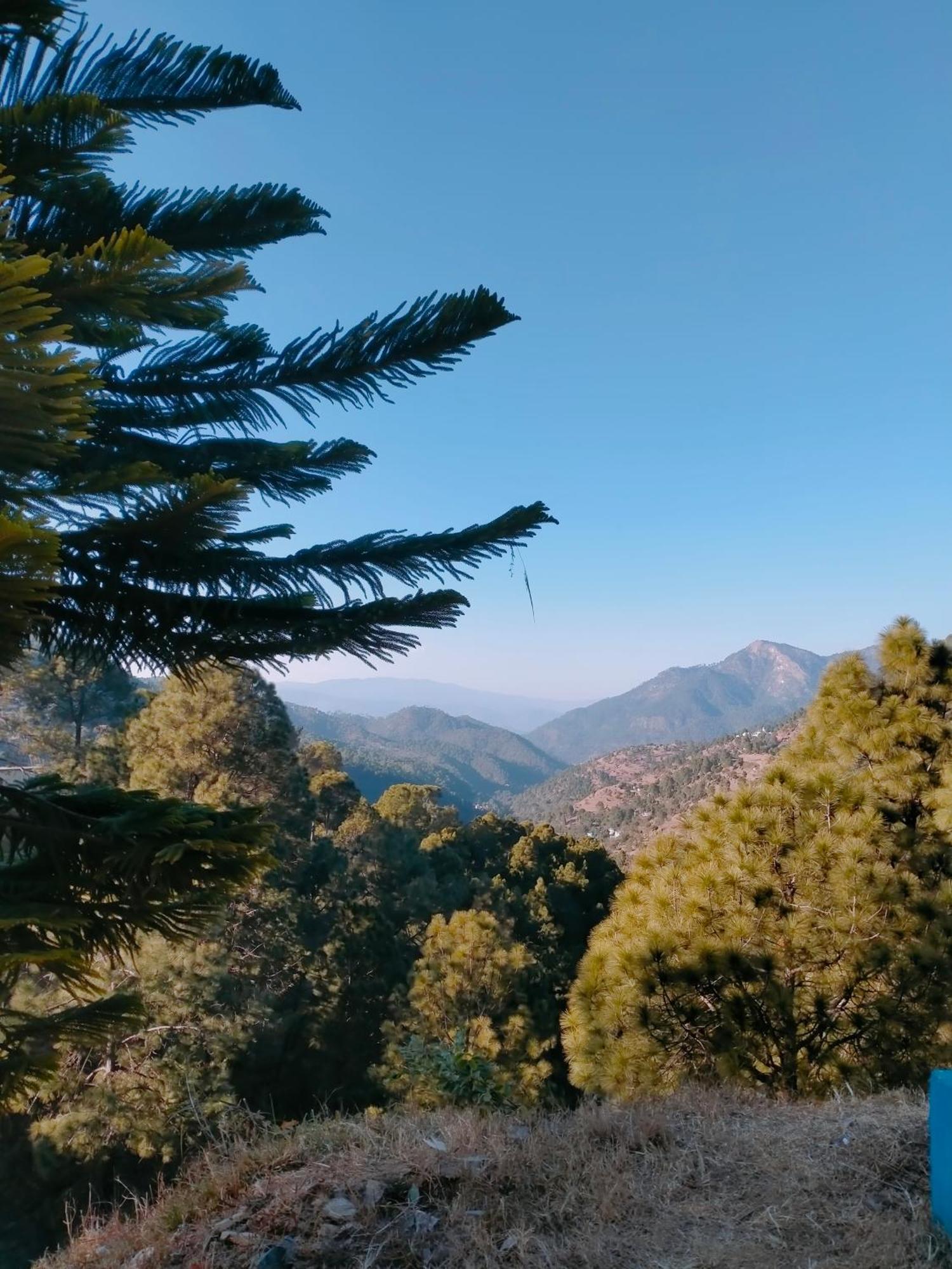 Shree Home Stay Dwarahat Bagian luar foto